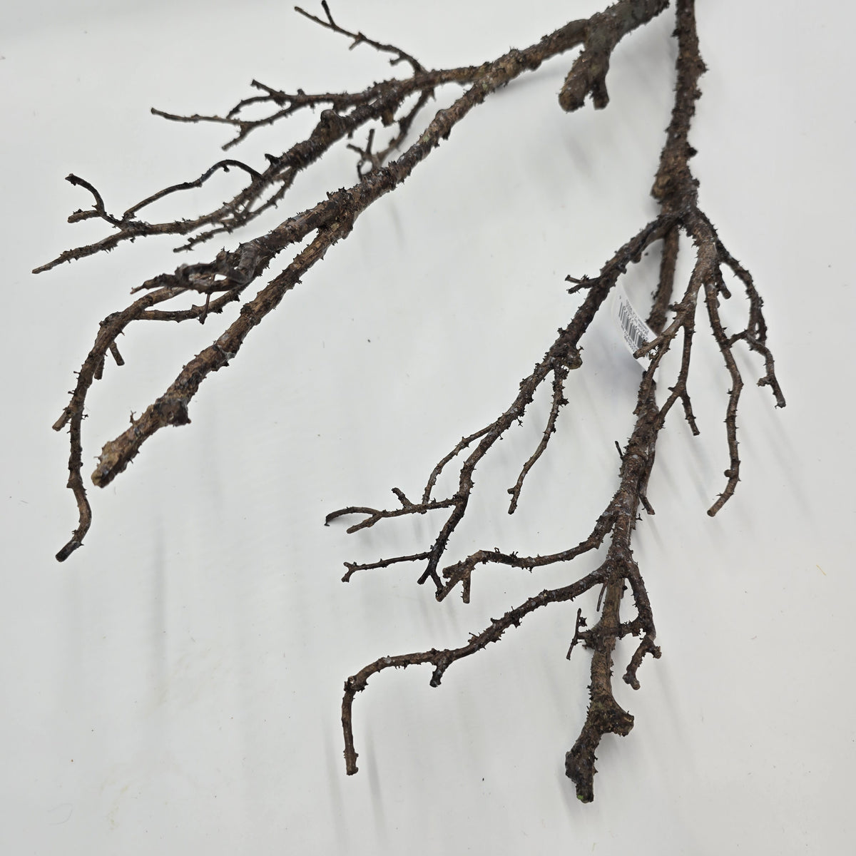 28&quot; Twiggy Branch Spray--#pst656