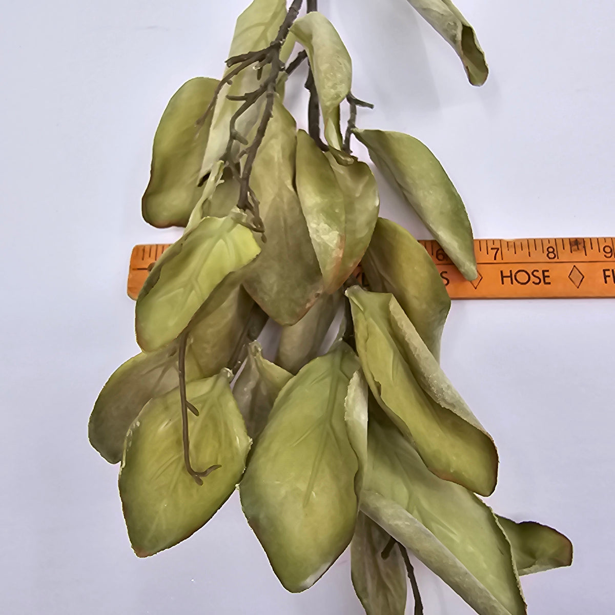 29.5&quot; Protea Leaf Spray--#psp713