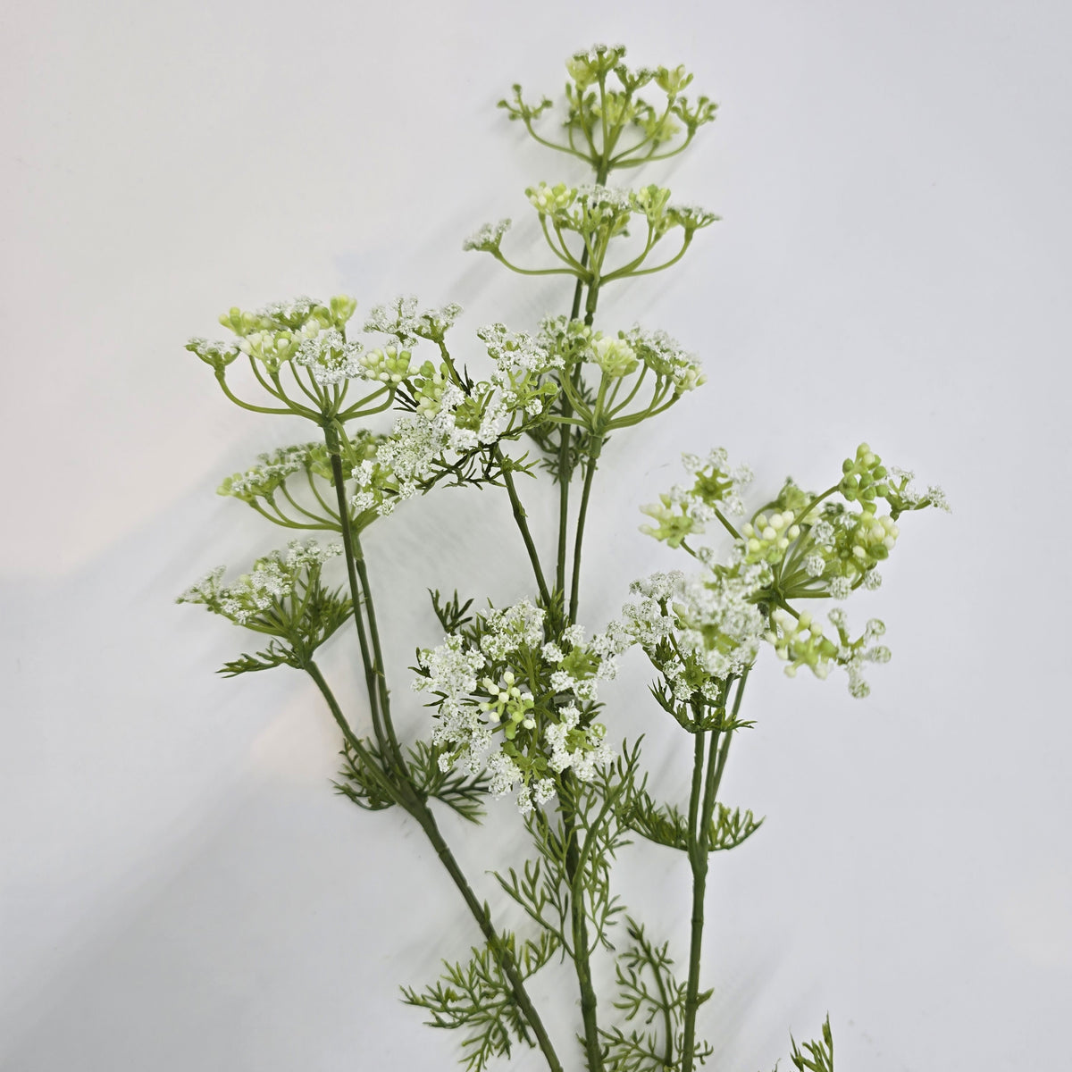 32&quot;DILL--fsd656-wh/gr