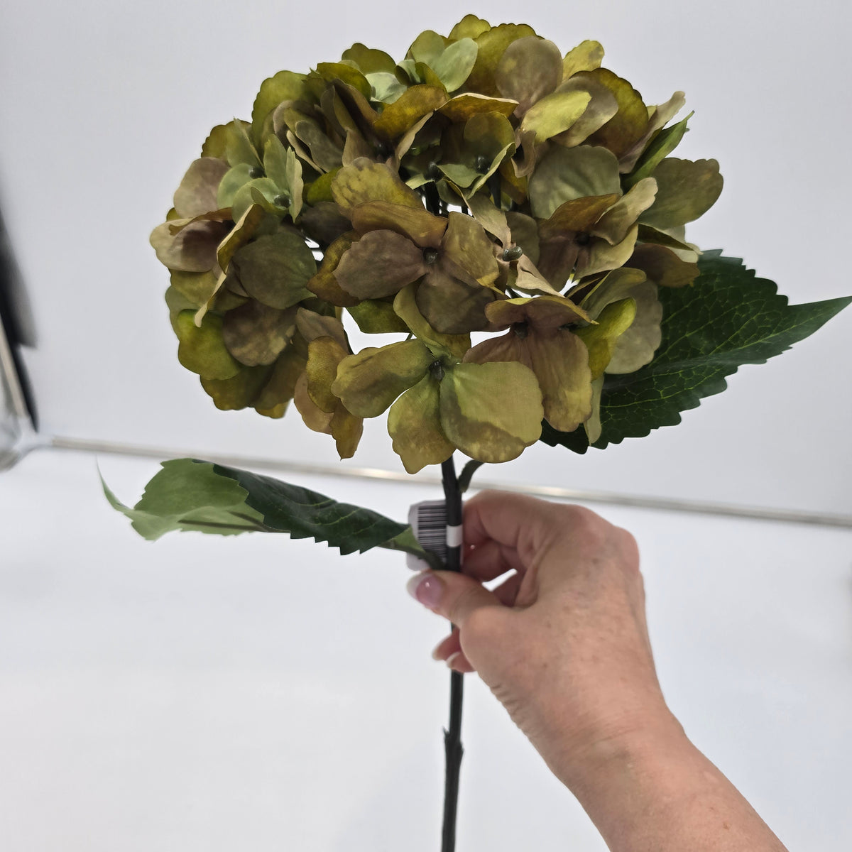 26&quot; Hydrangea -- #fsh701