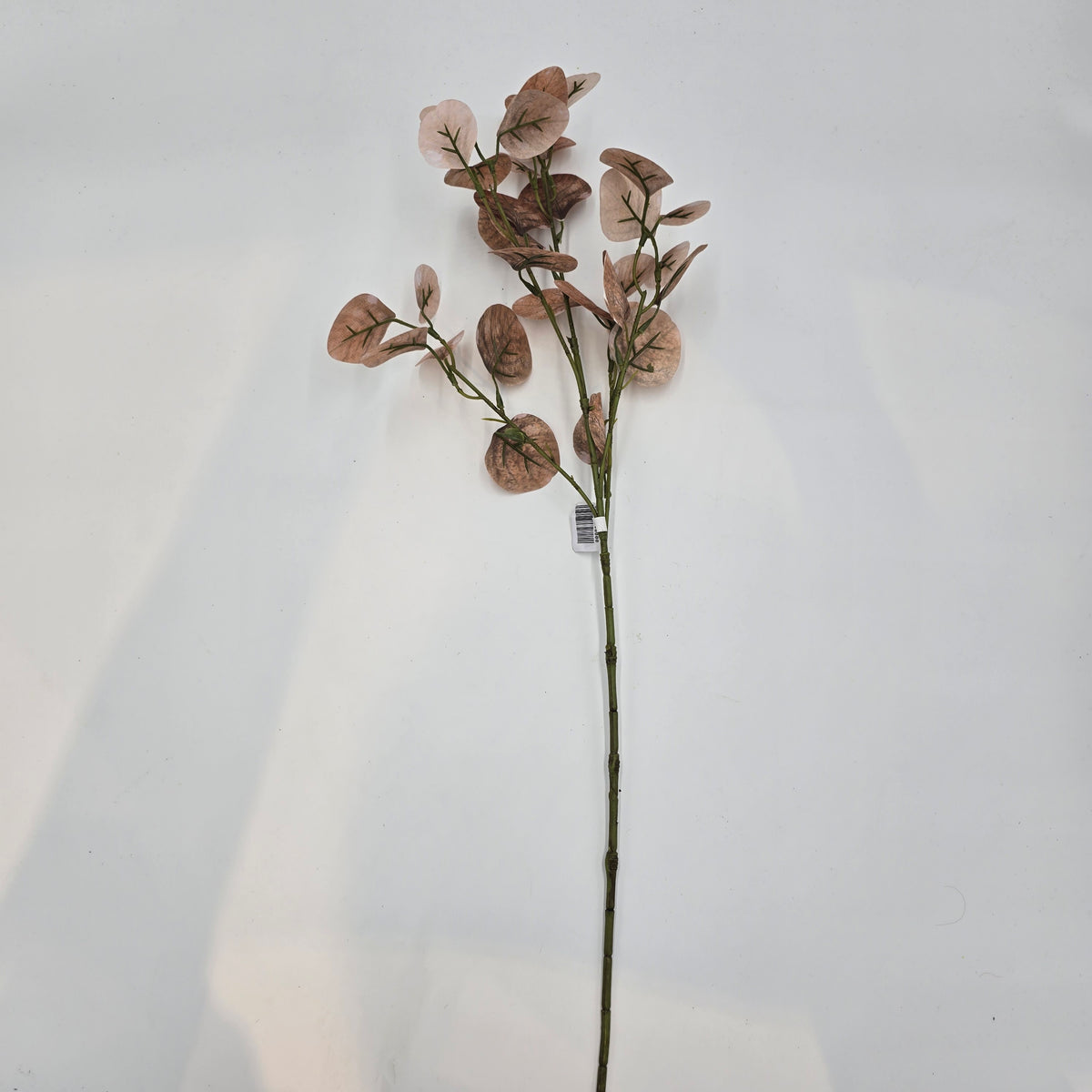 25&quot; Smoketree Lf--#pss821