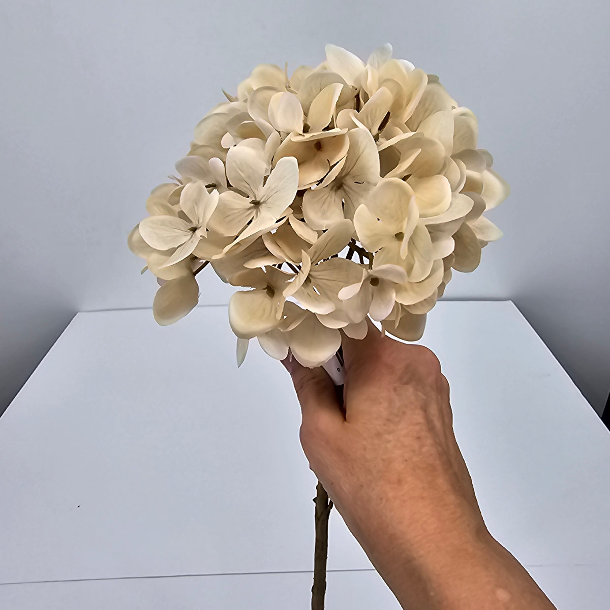 18&quot; Hydrangea--#fsh810