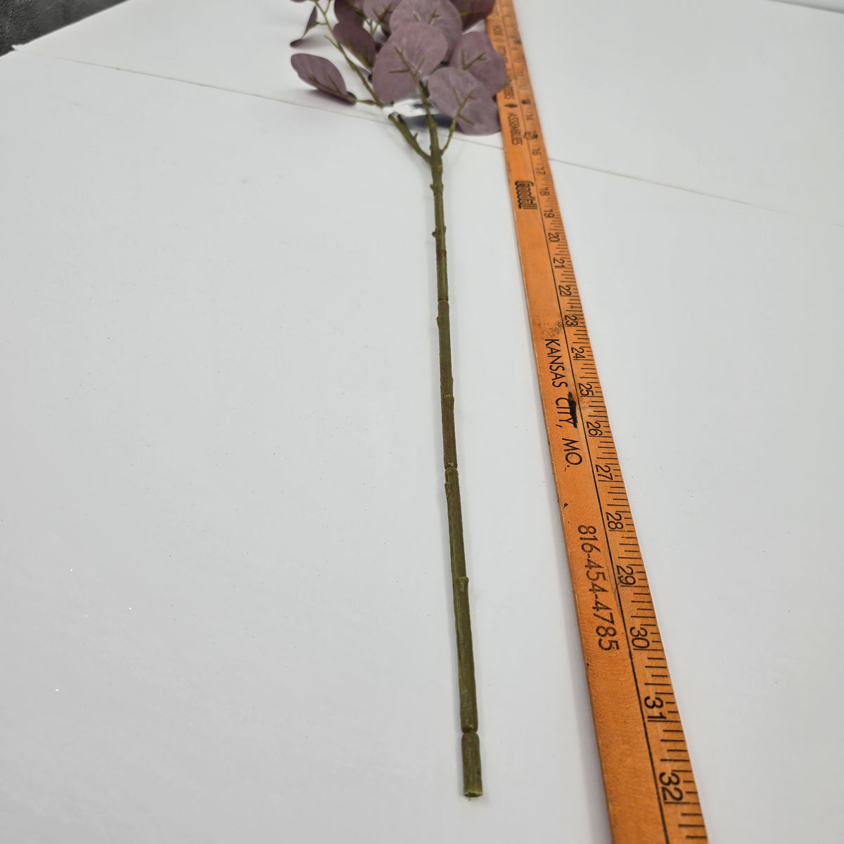 31&quot; Eucalyptus Leaf Spray--#pse408