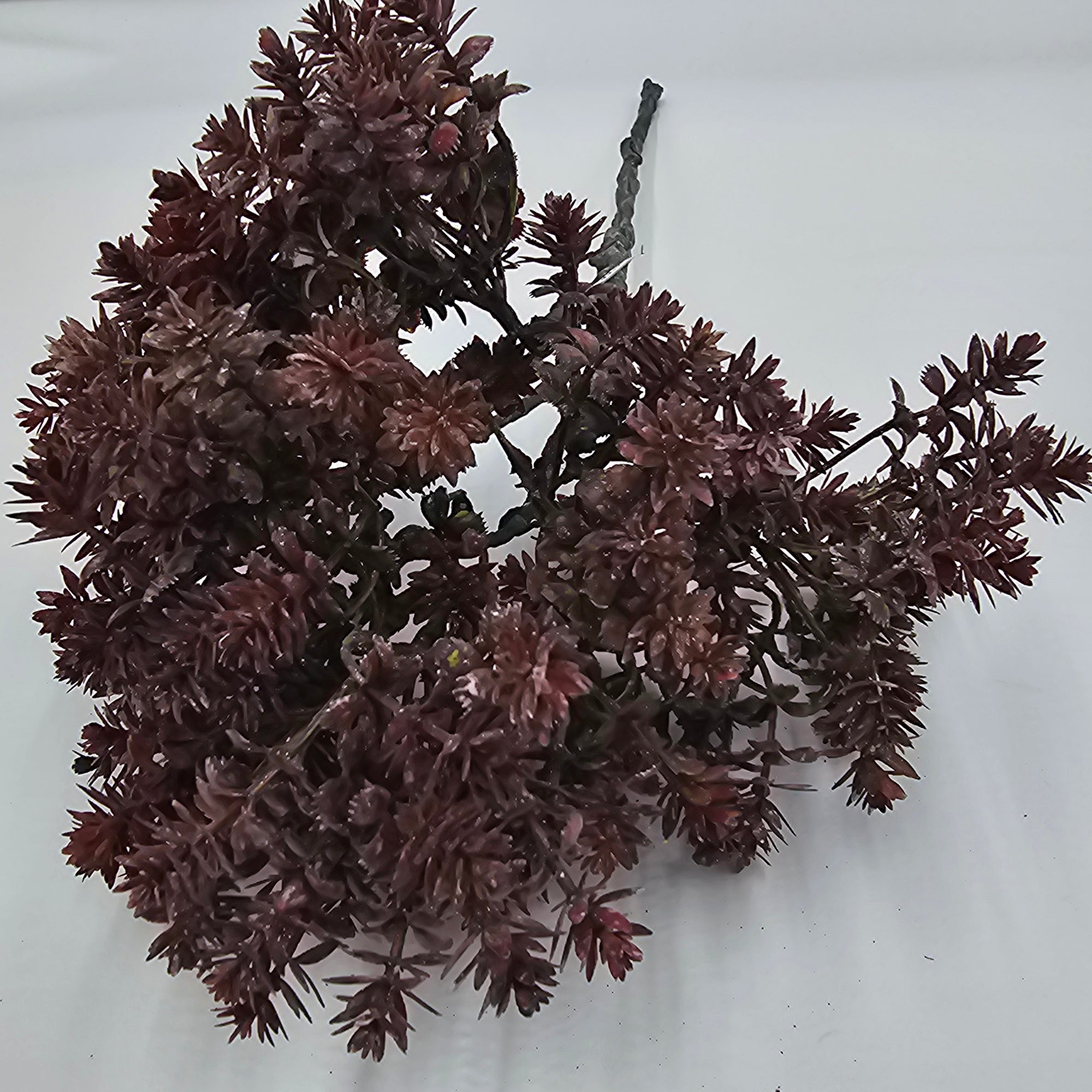 17" mini sedum--brown