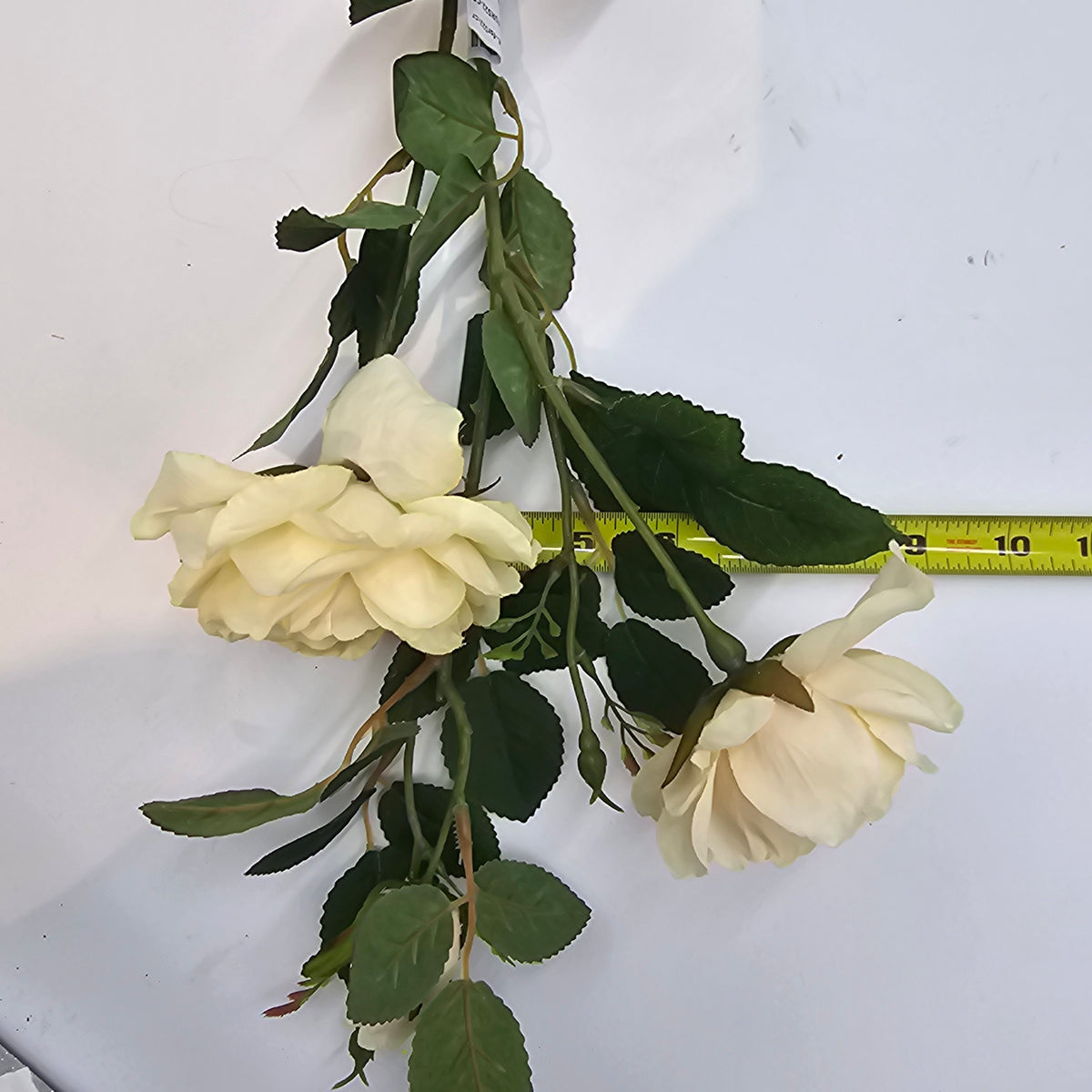 28&quot;ROSE--fsr522