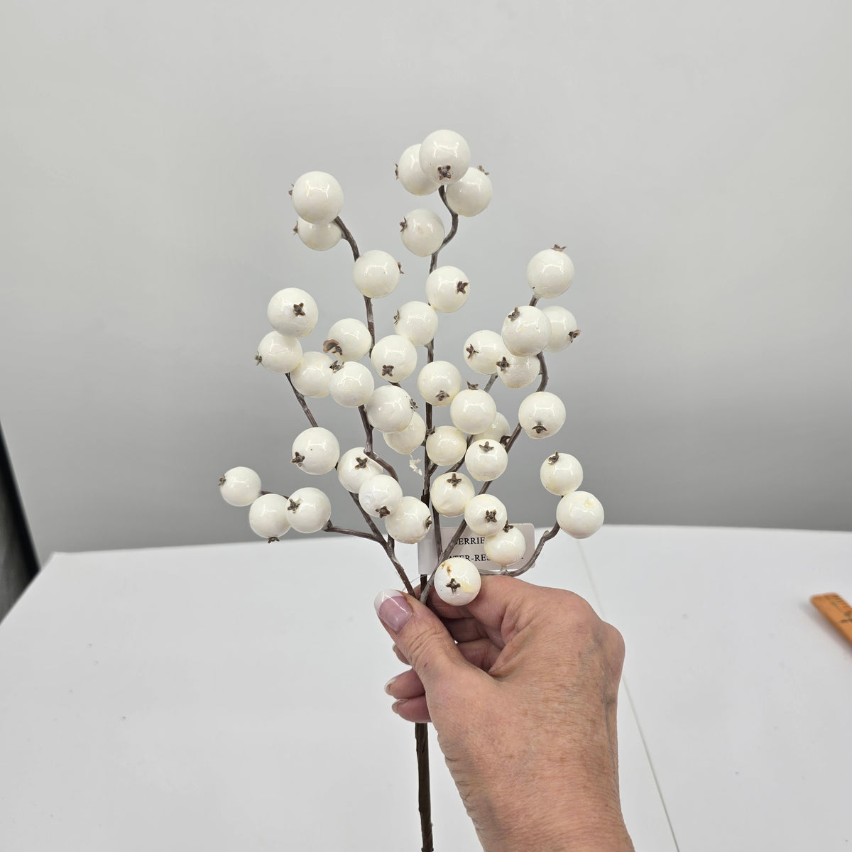 12&quot; WP Crabapple CREAM  #214348