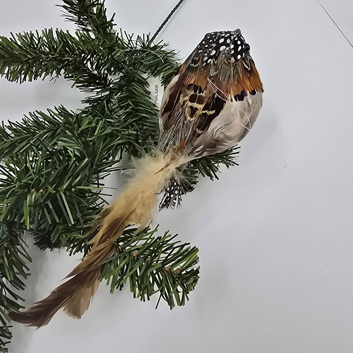 3&quot;x10&quot; Spotted Bird/clip-#bbc240