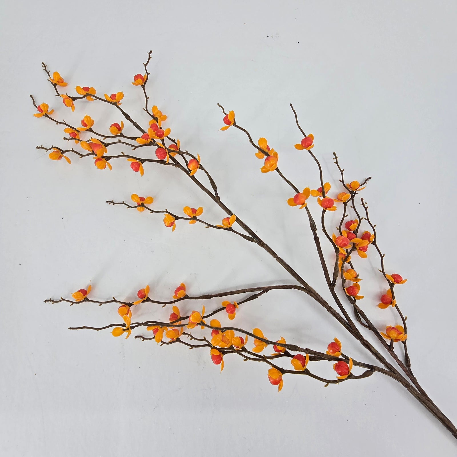 32.5" Bittersweet Spray--#fsb459