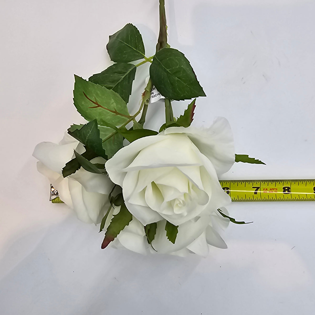 15.5&quot;ROSE--fsr205