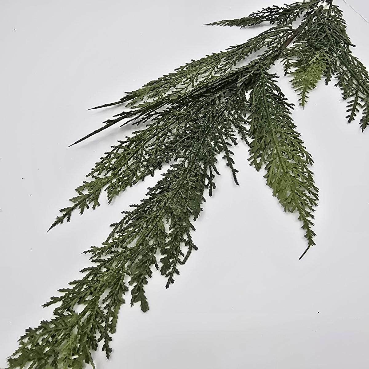 30&quot; Cedar Spry--#ysc407