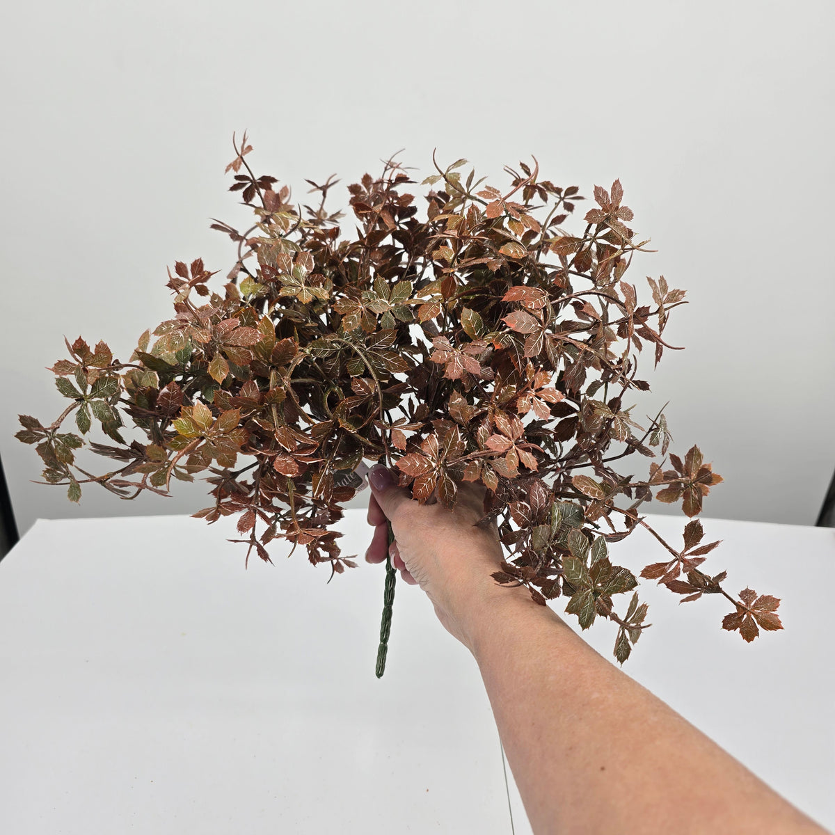 13&quot; Wild Maple Bush--#pbm550