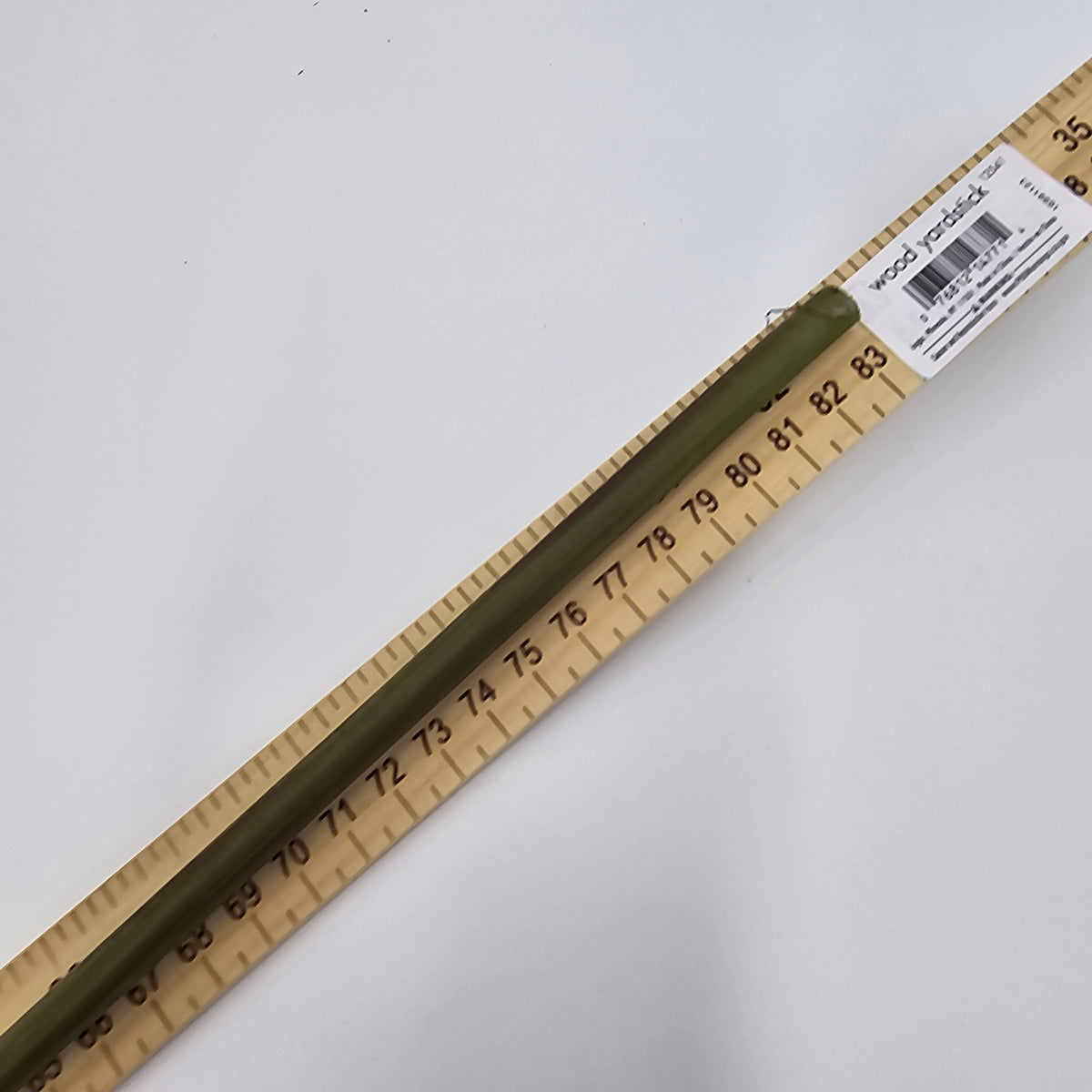 34&quot;ASTILBE--fsa378-ty