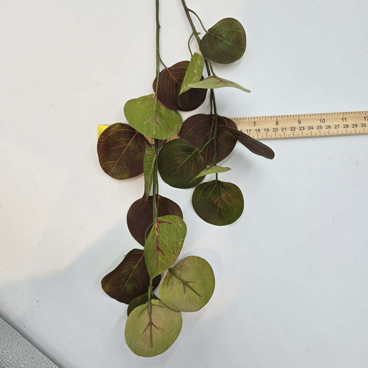 32&quot; Eucalyptus Lf--#pse418