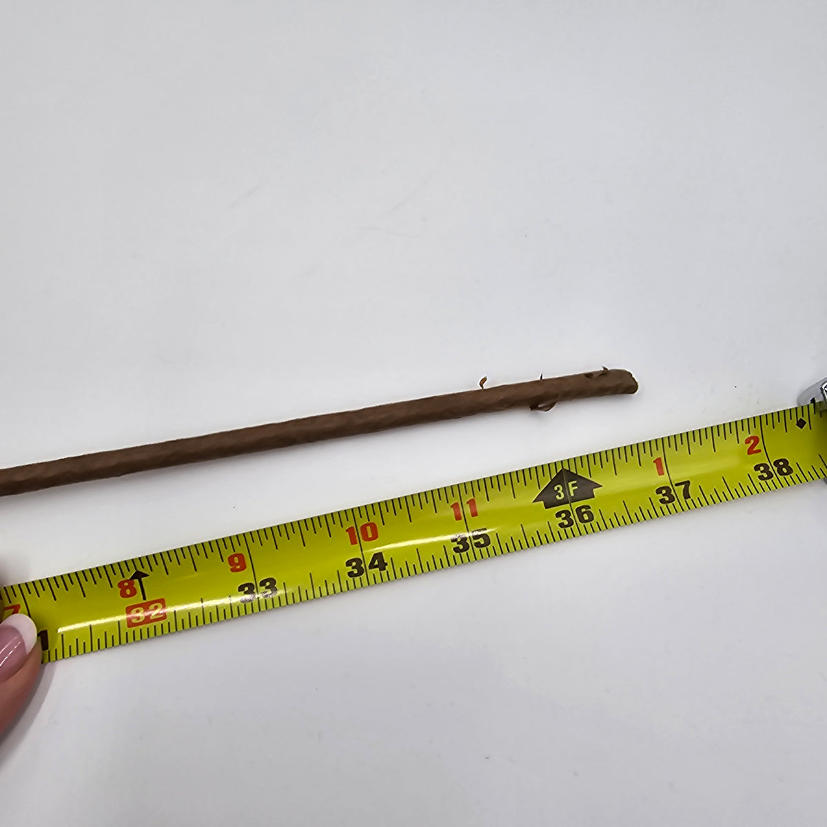 Magnolia/Cone-38&quot; #psm300