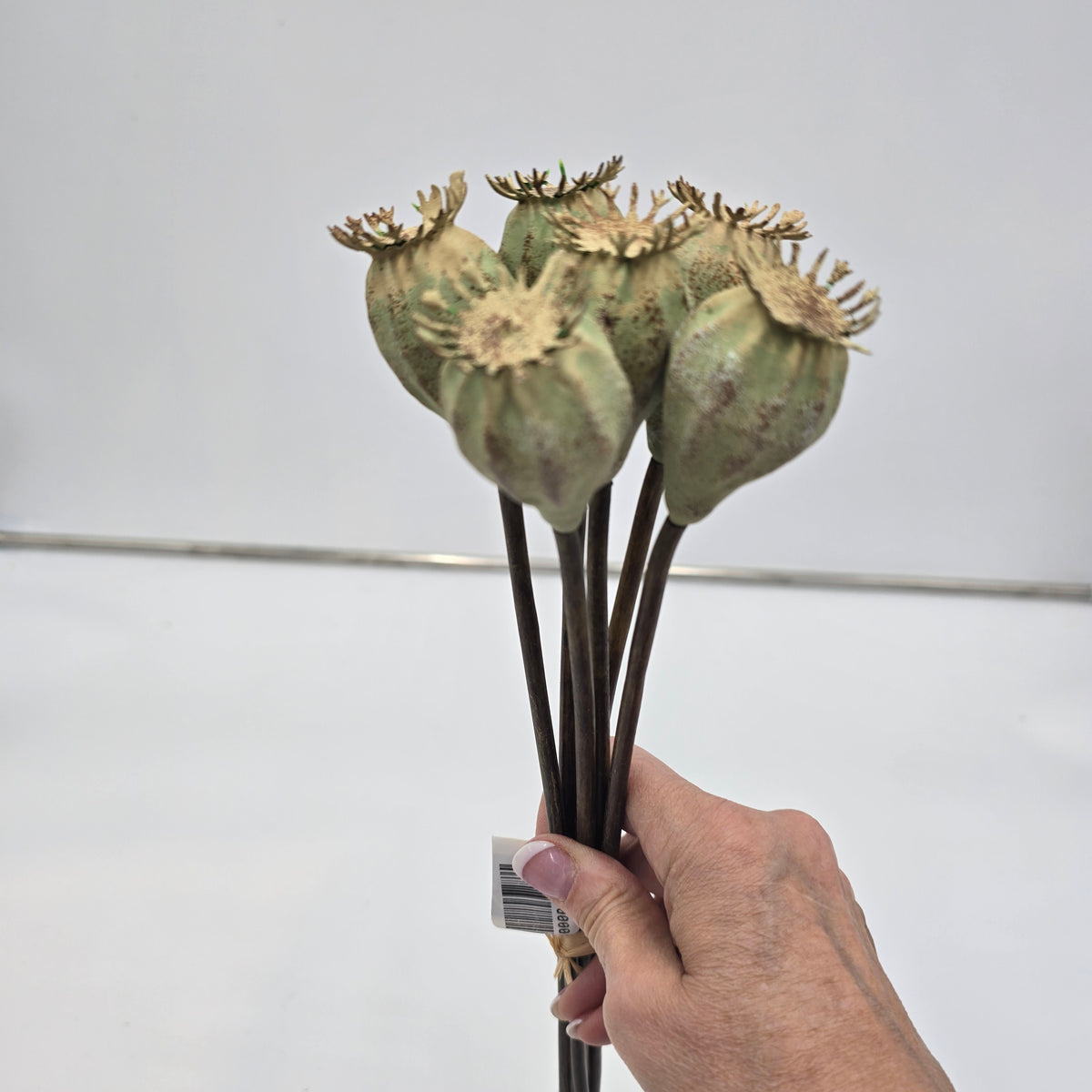 18&quot; Poppy Pod Bundle/6 #fsp037