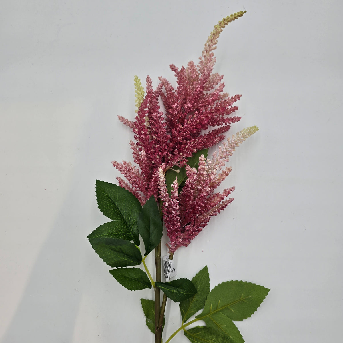 34&quot;ASTILBE--fsa378-ty