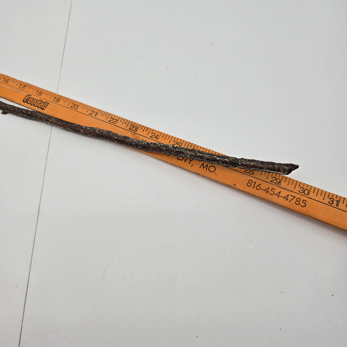 30&quot; Red Hot Poker #fsp108