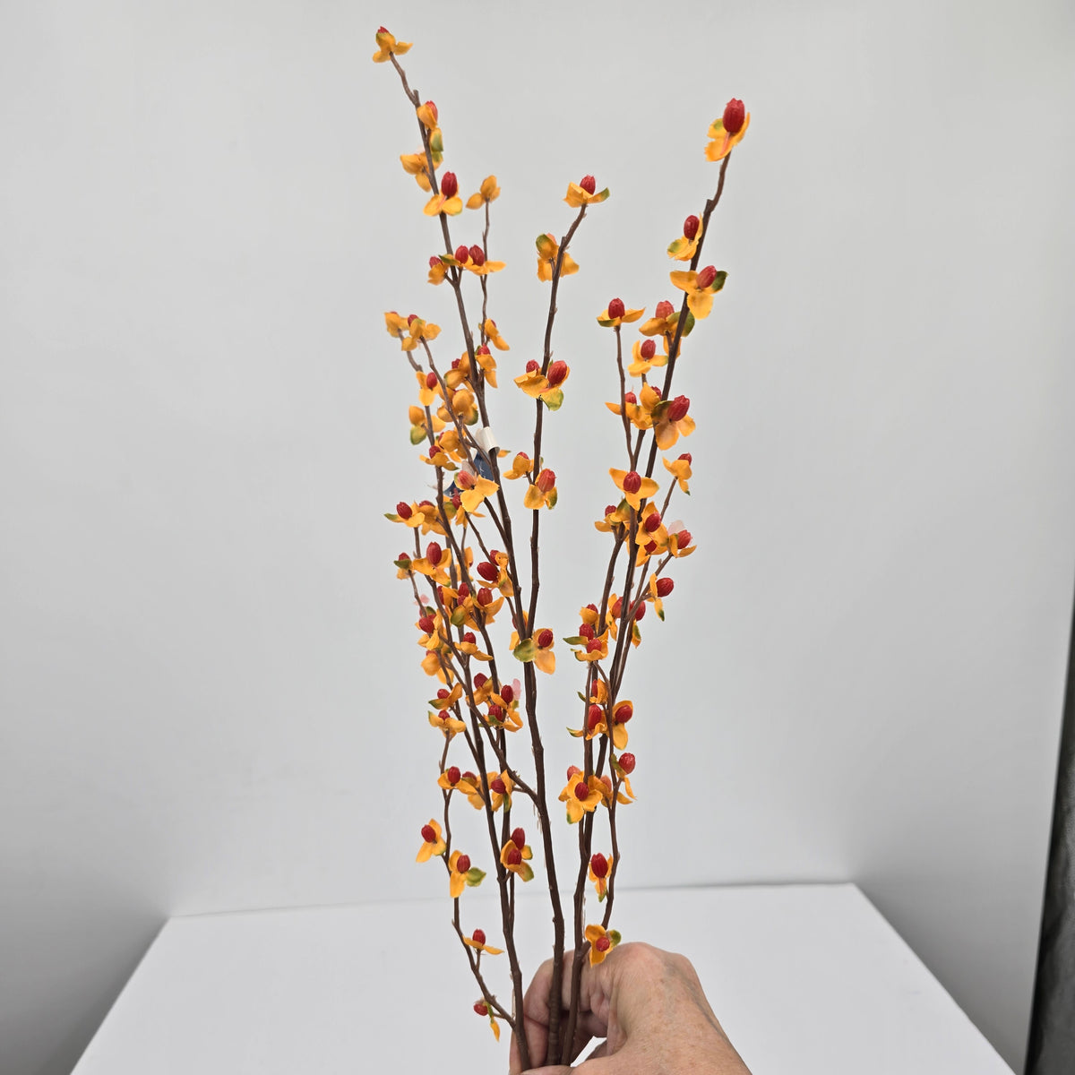 32&quot; Bittersweet--#gtb780