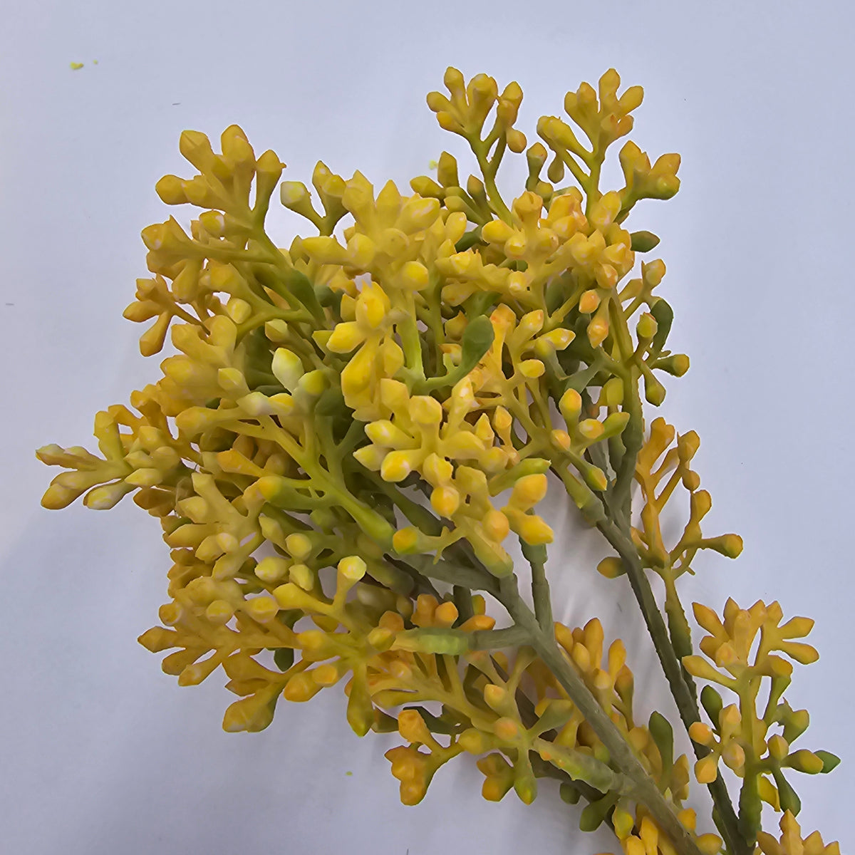 14&quot; sedum bundle--#fbs120