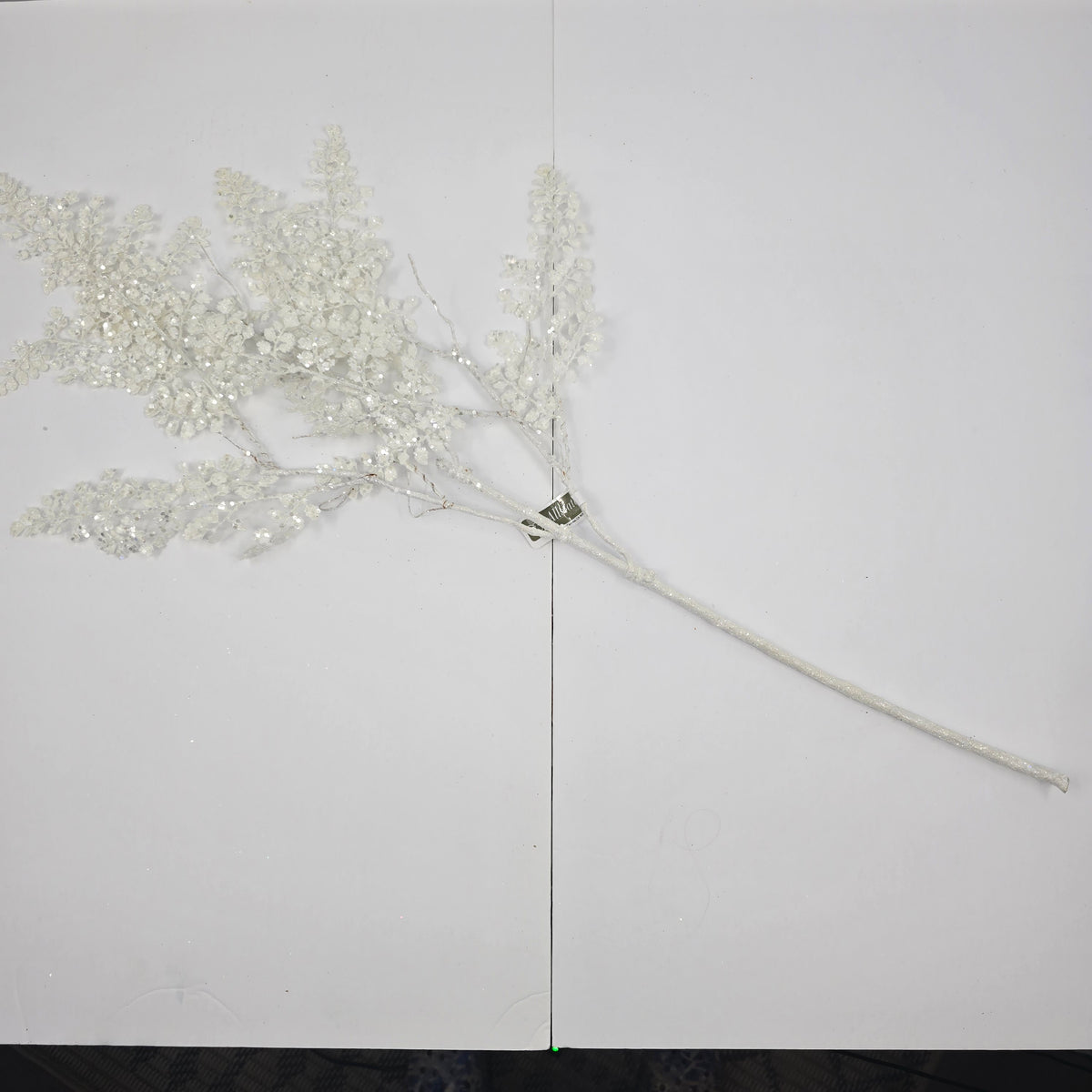 33&quot; Frosty Maidenhair Fern--#xas166