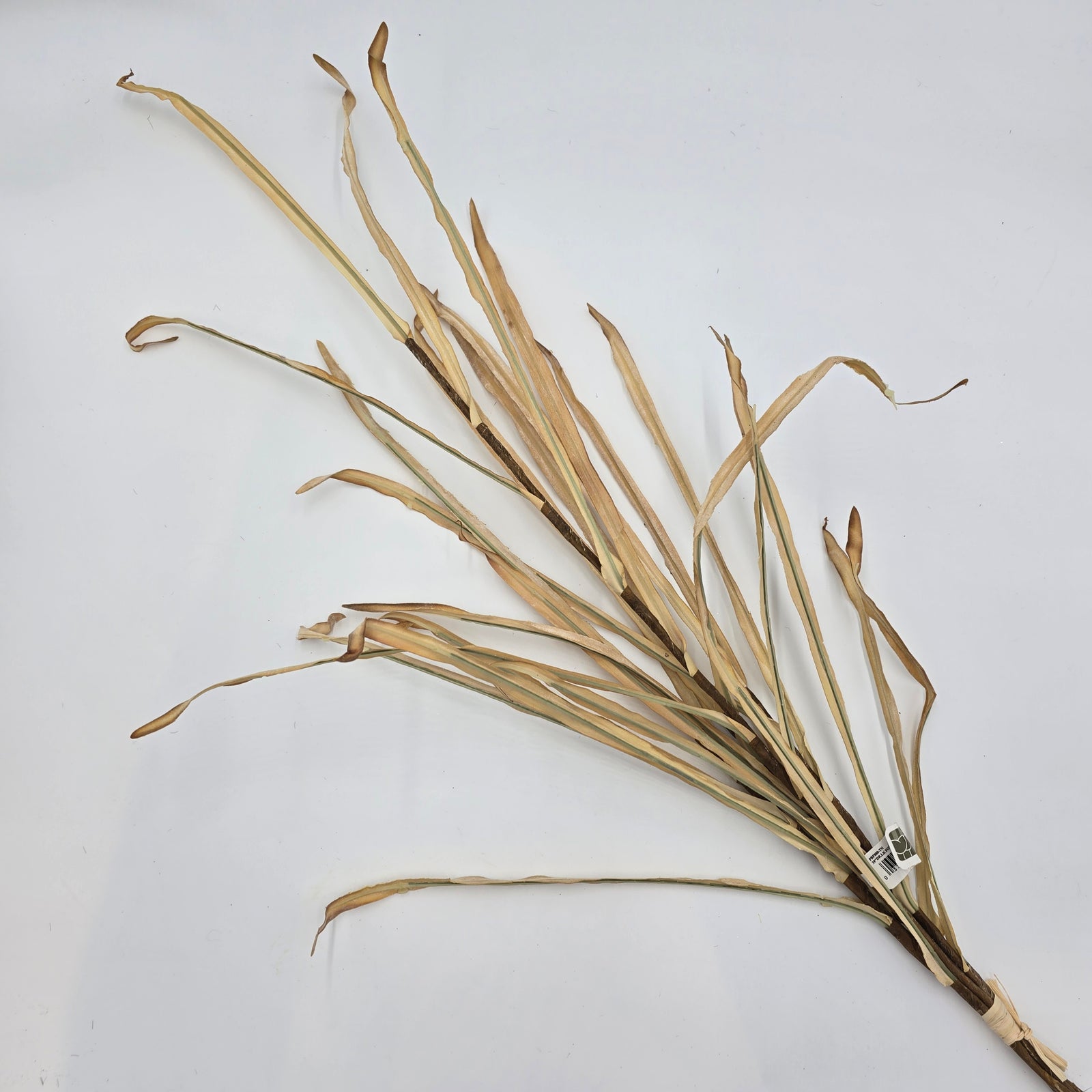 39" Dried Corn/Foxtail Lf Bundle--#pbf880
