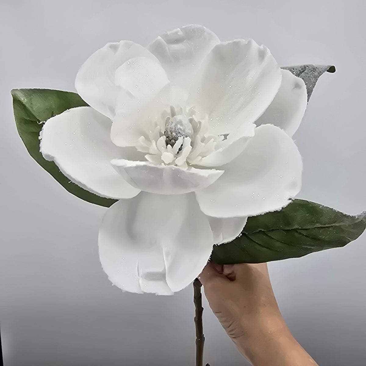 29&quot; Frosty Magnolia --#xfs552