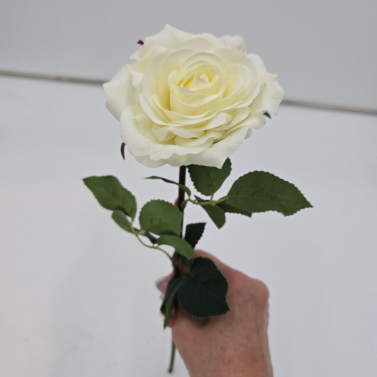 12&quot; REAL TCH ROSE--fsr412