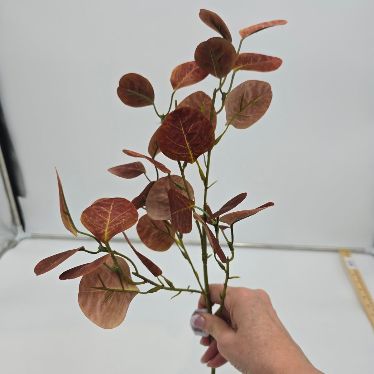 25&quot; Smoketree Lf--#pss821