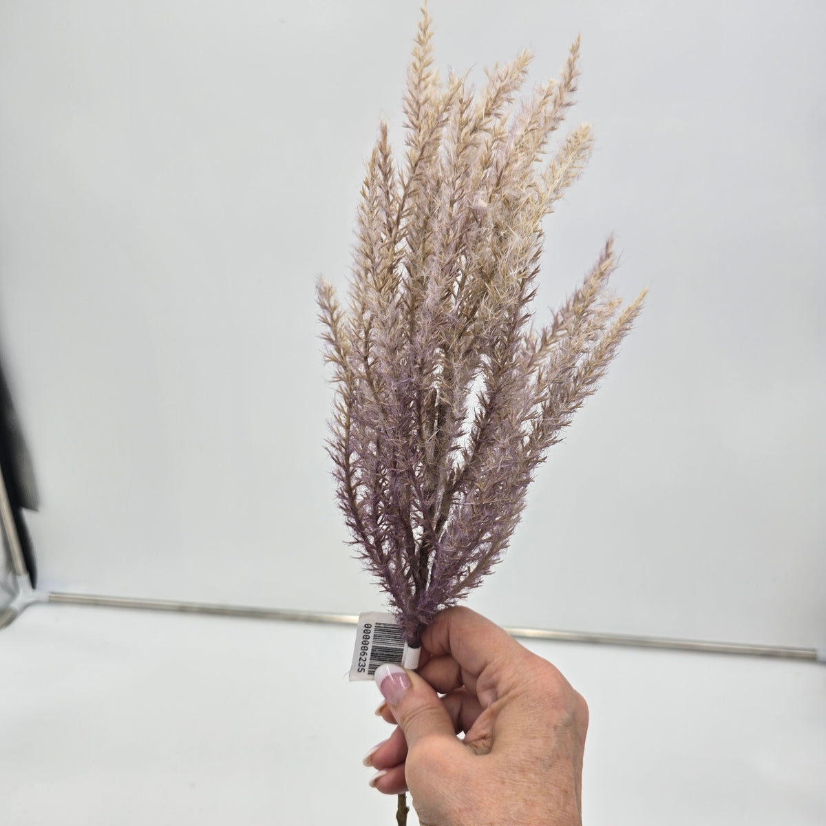 Reed Grass-36&quot; #fsg006