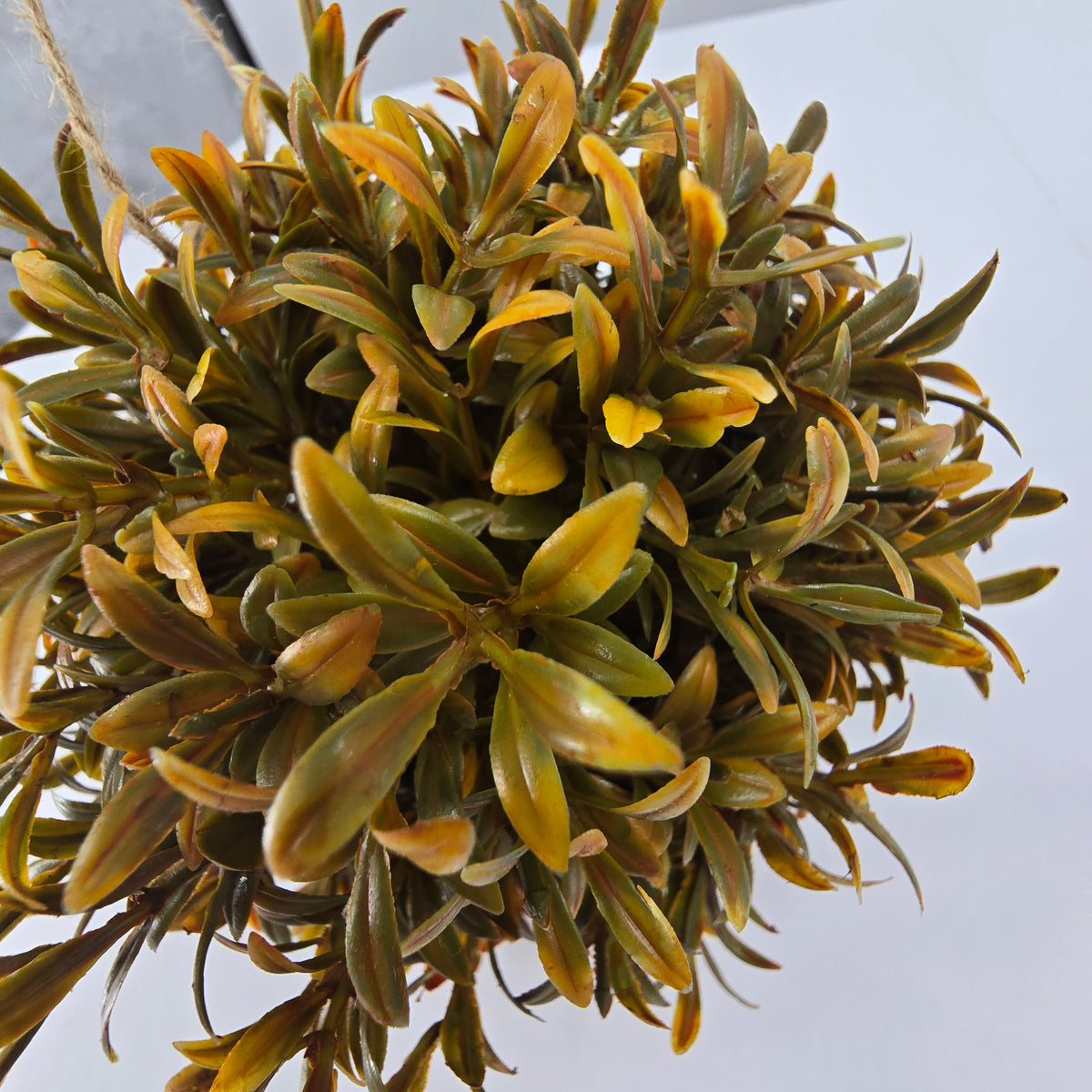 5" Tea Leaf Orb--#pft408