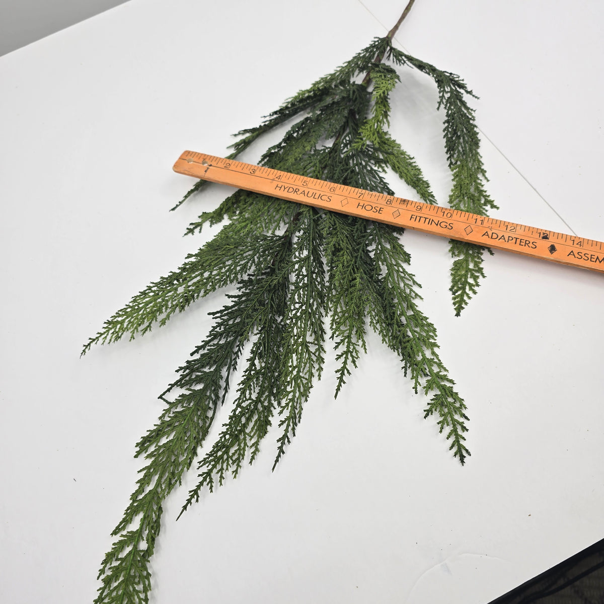 40&quot; Cedar Spry-#ysc409