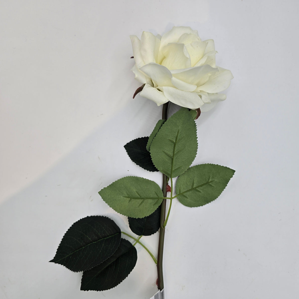 20.5&quot; REAL TCH ROSE--fsr422