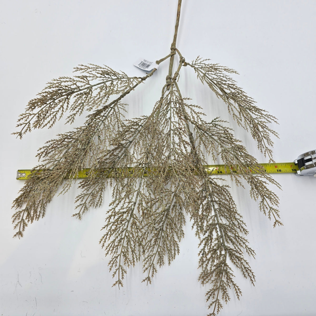 29&quot; Cedar Spray--#psc546