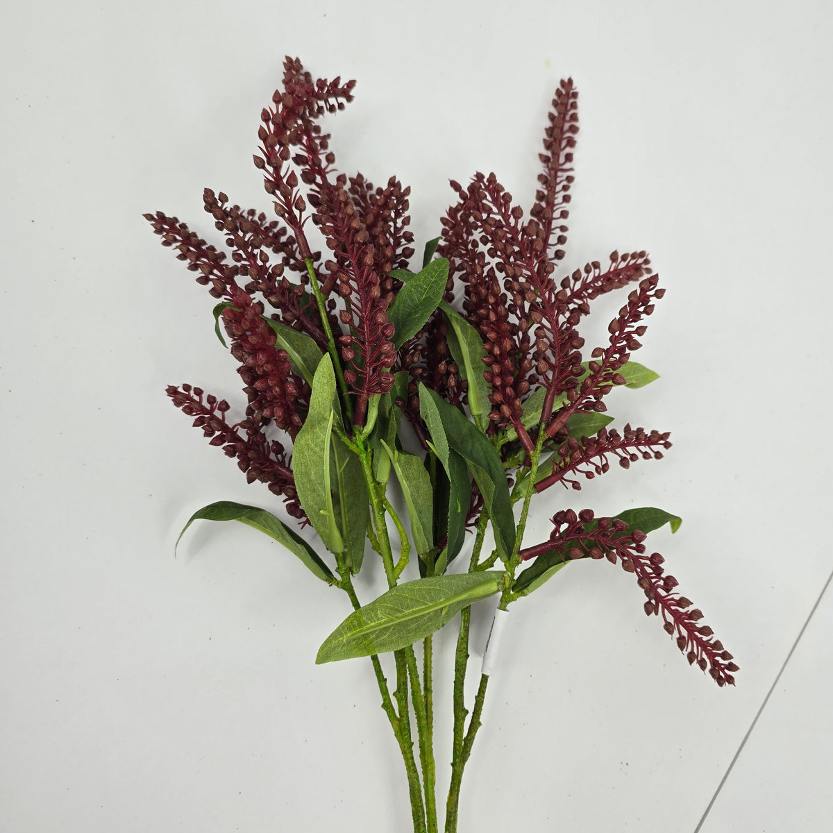 25&quot;PIERIS JAPONICA--#fsj991