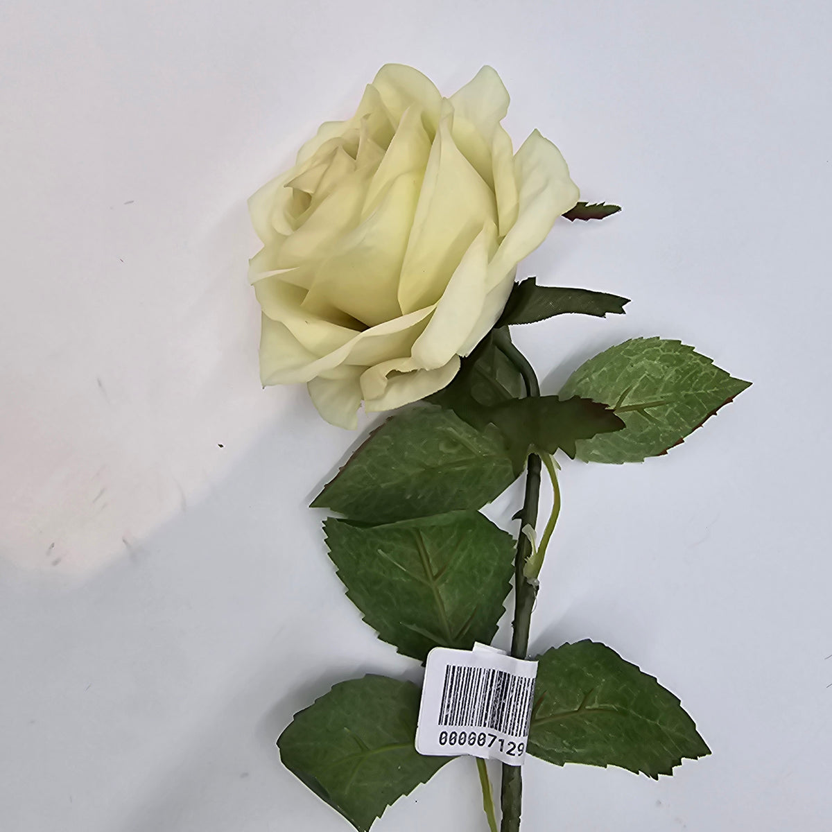 21.5&quot;ROSE--fsr729