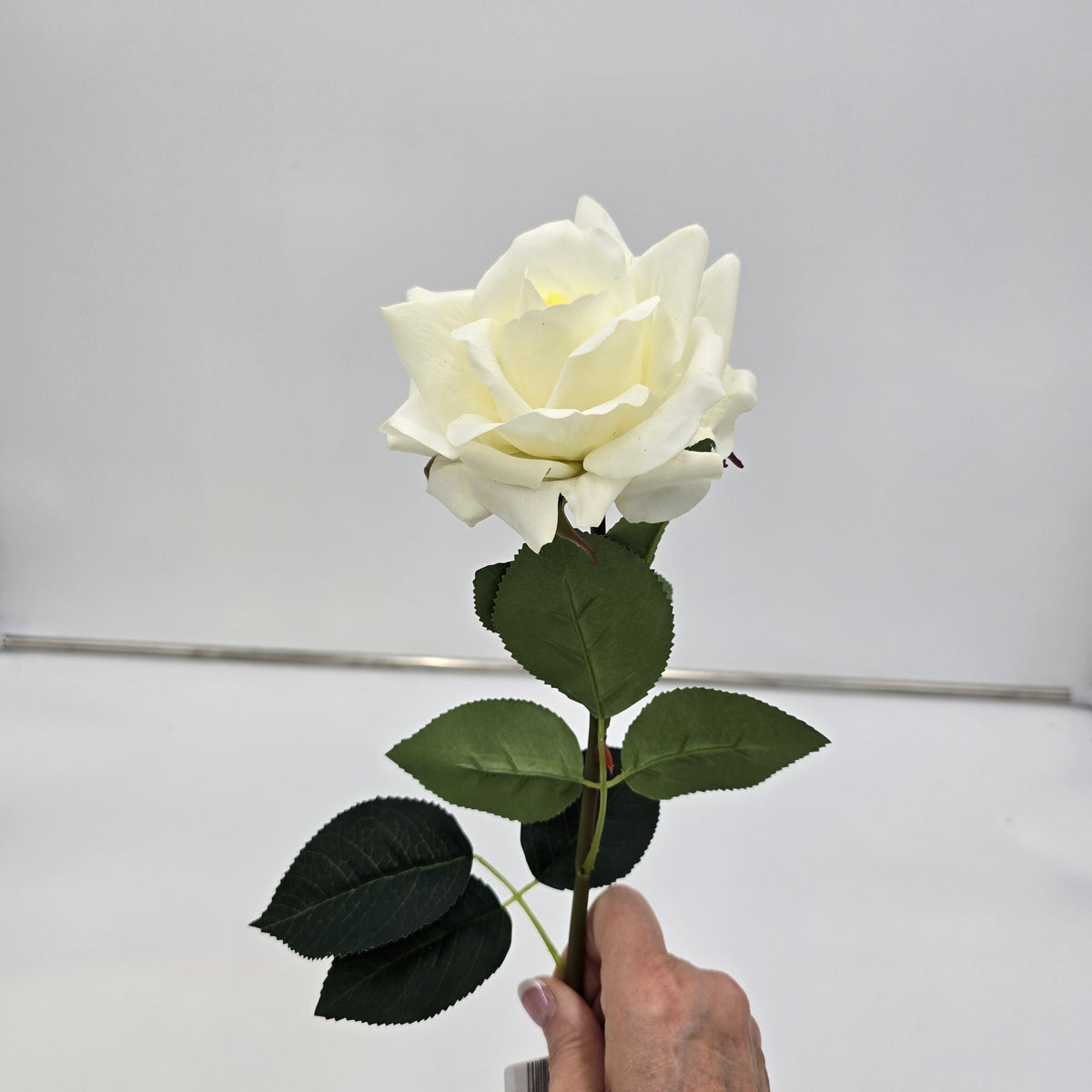 20.5&quot; REAL TCH ROSE--fsr422