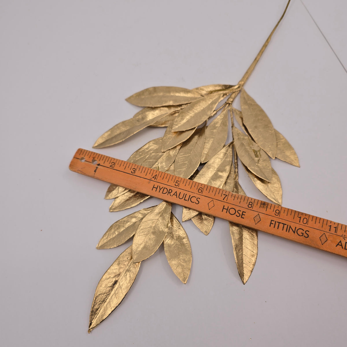 19&quot;BAY LEAF SPRY-#xdz385