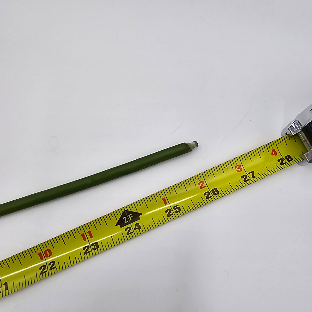 Camelot Rose--#win98227