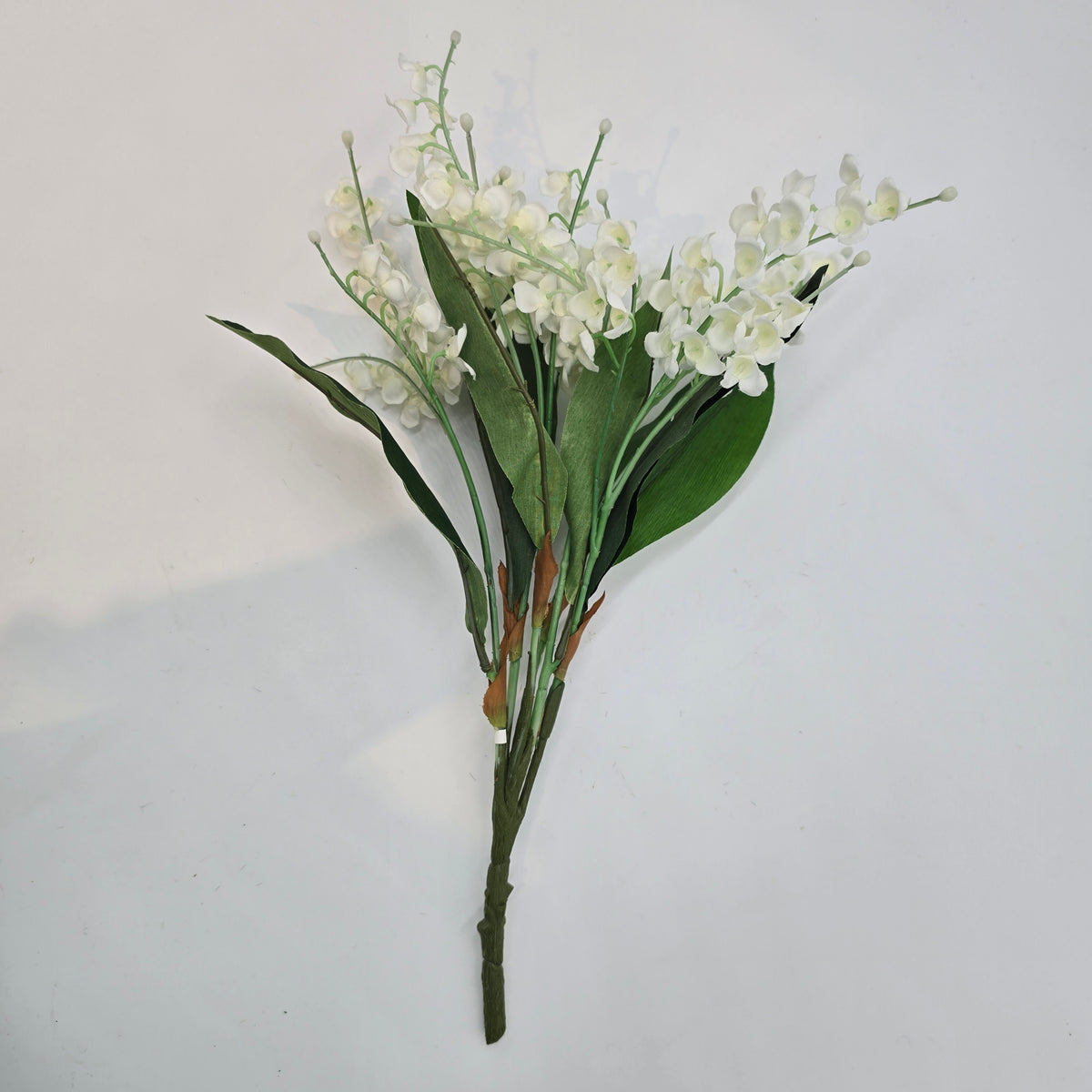Lily of the Valley--#fbl162