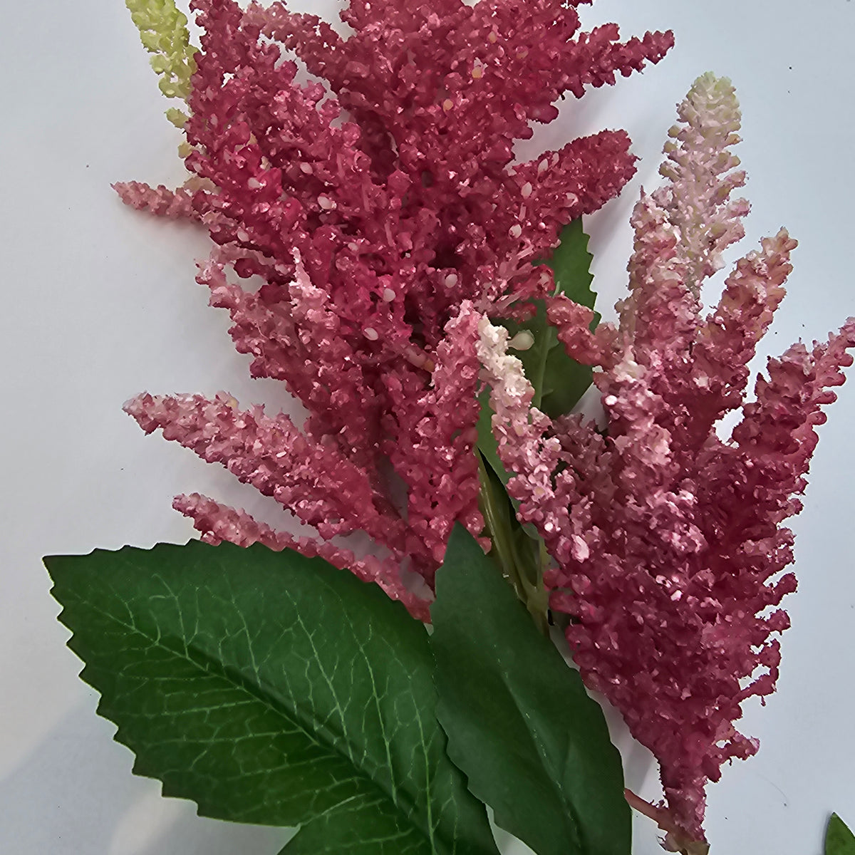 34&quot;ASTILBE--fsa378-ty