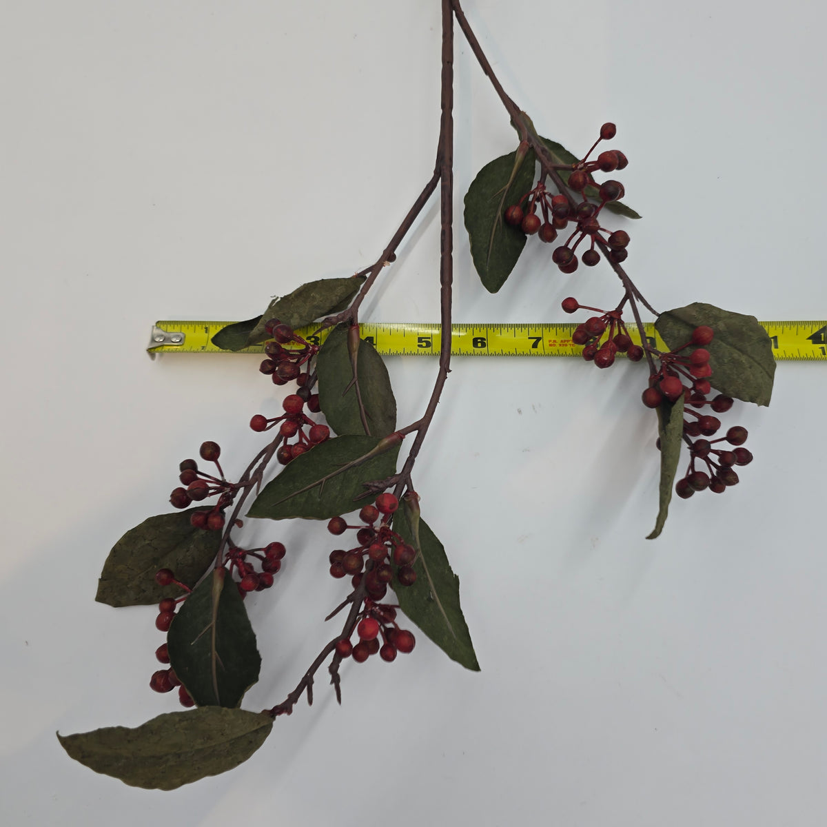 31&quot; Berry -- #fsb583