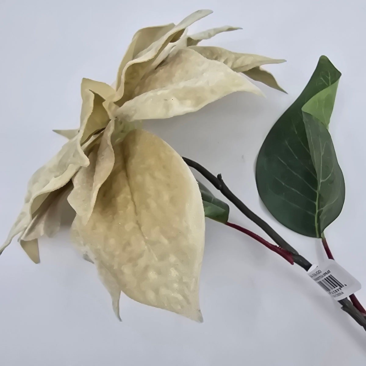 28&quot; Velvet Poinsettia--#xfs584