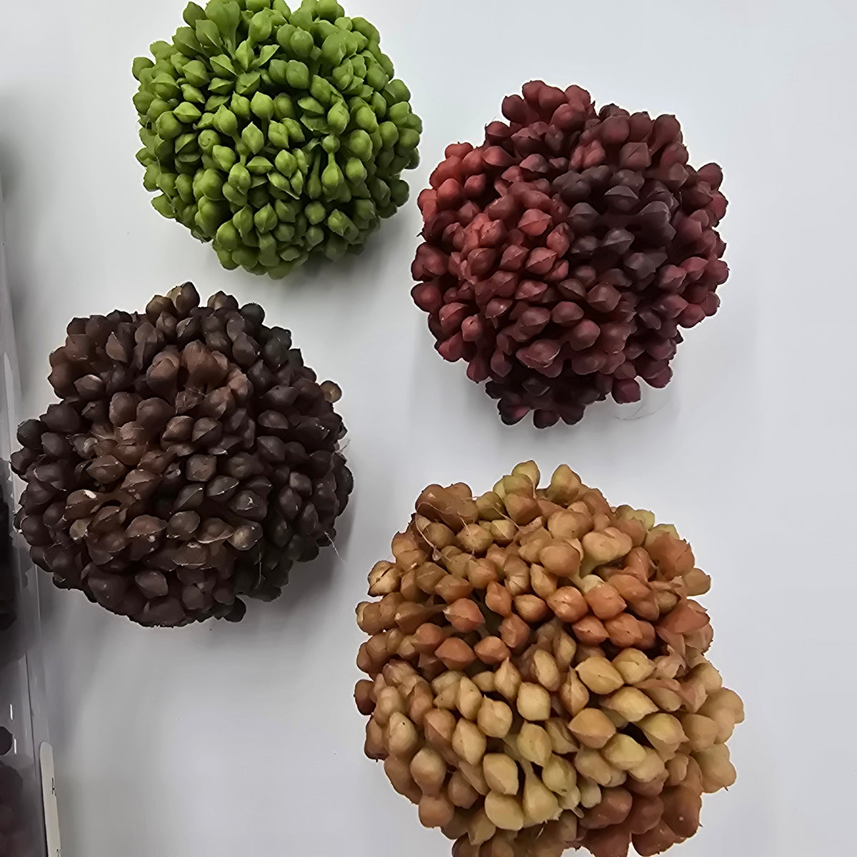 Set 4 sedum balls--aa1900