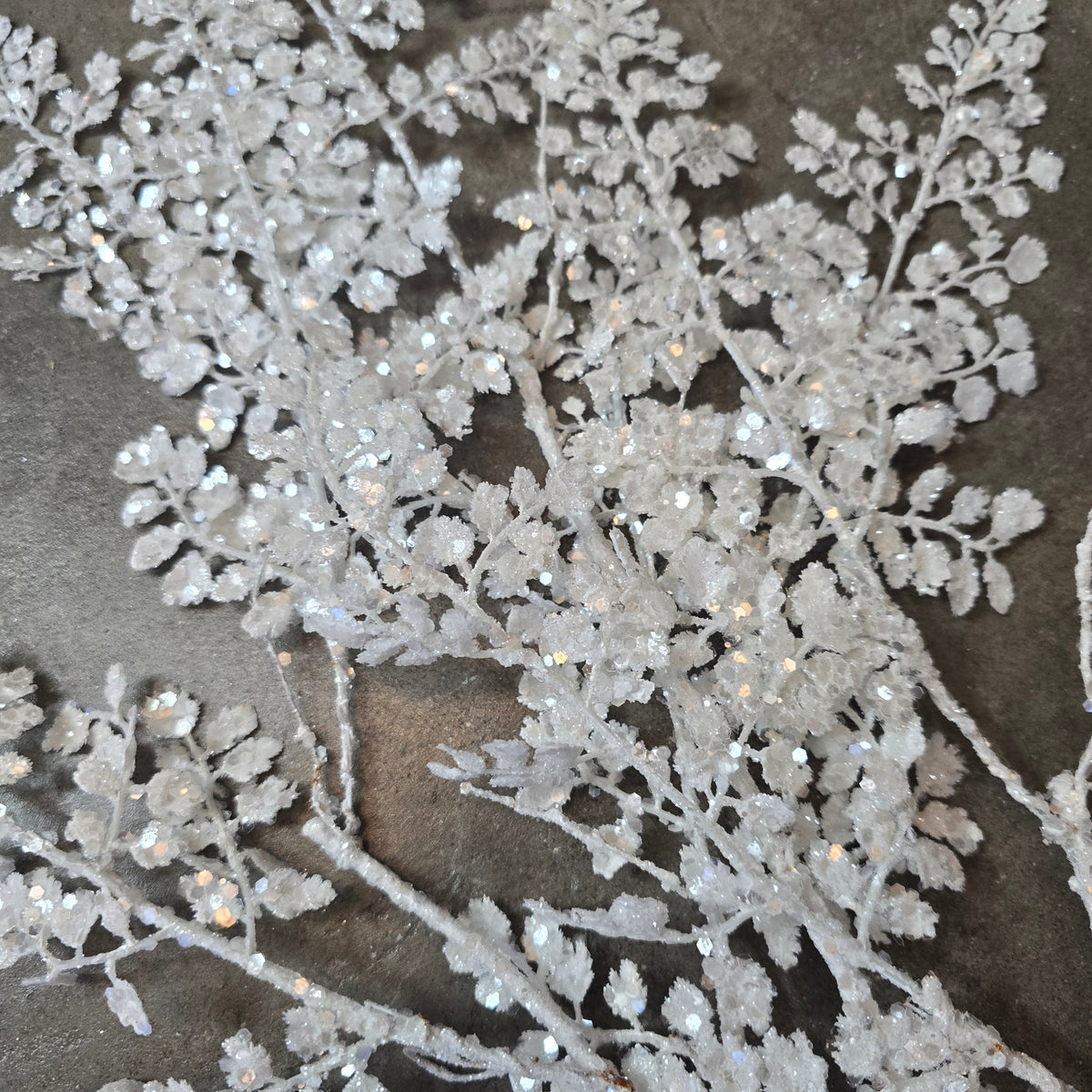 33&quot; Frosty Maidenhair Fern--#xas166