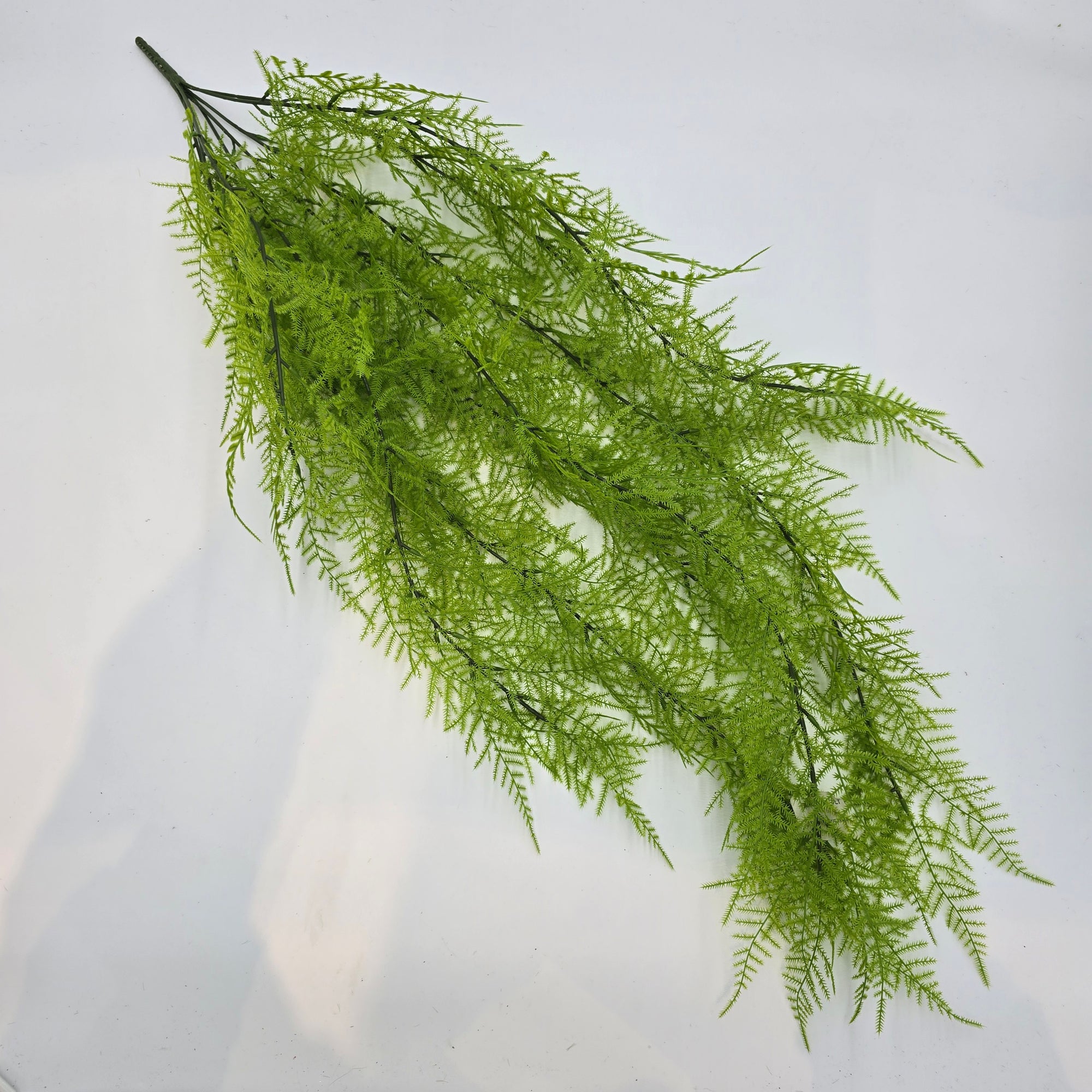 33" Asparagus Fern--#pbf156