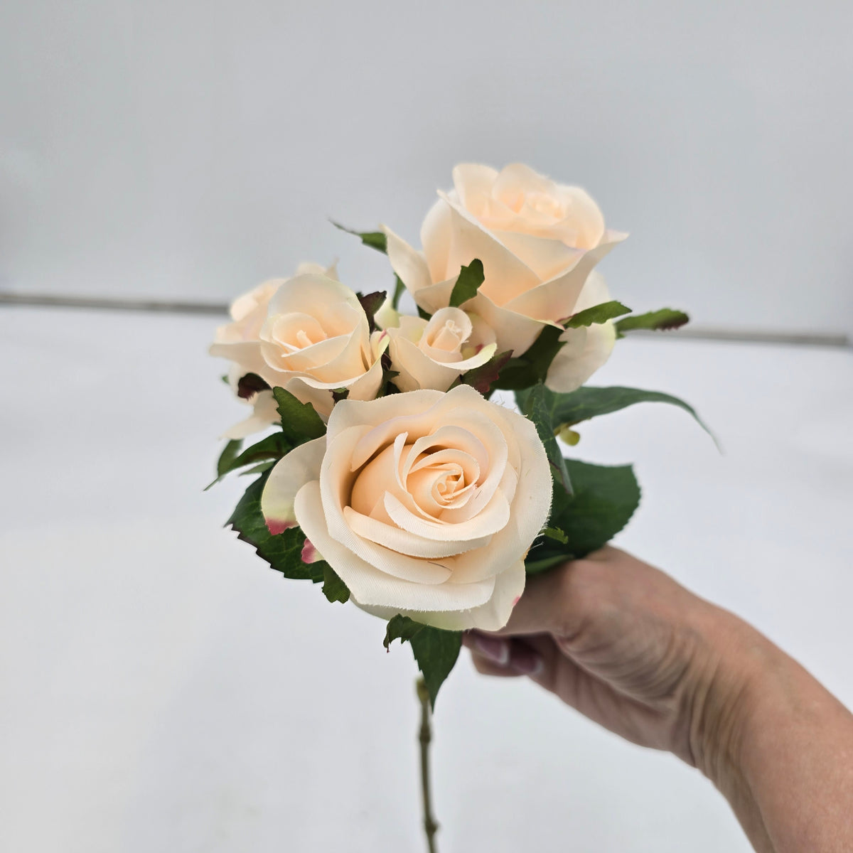 15.5&quot;ROSE--fsr205