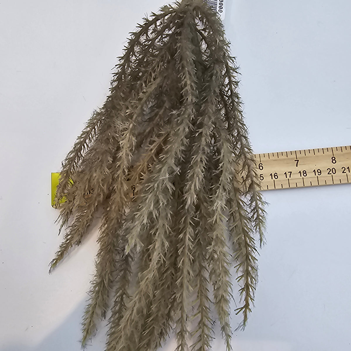 Reed Grass-36&quot; #fsg006