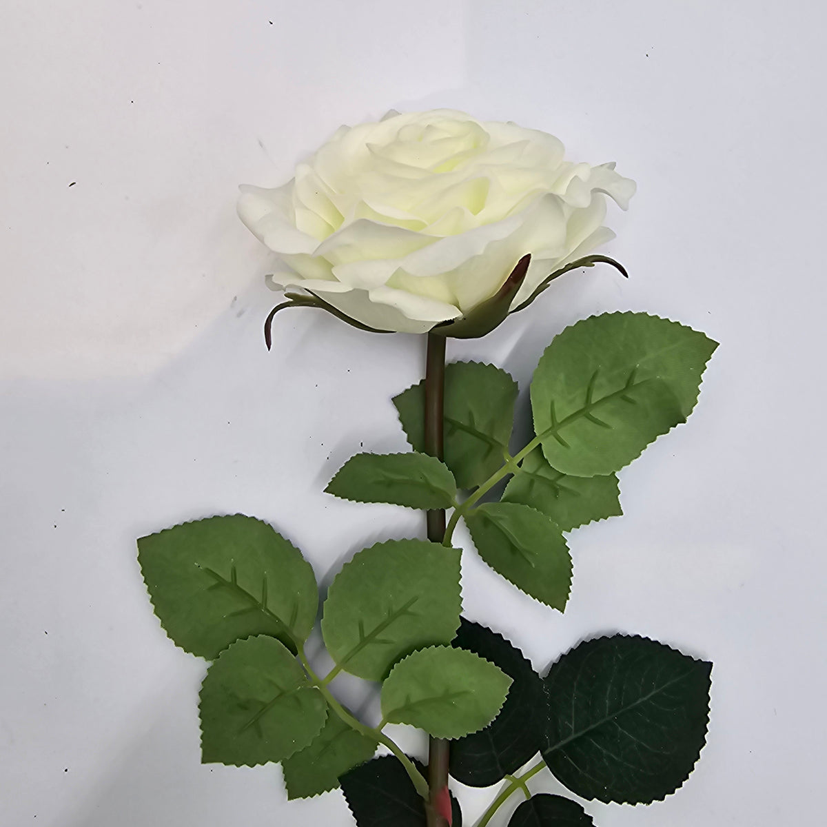 12&quot; REAL TCH ROSE--fsr412