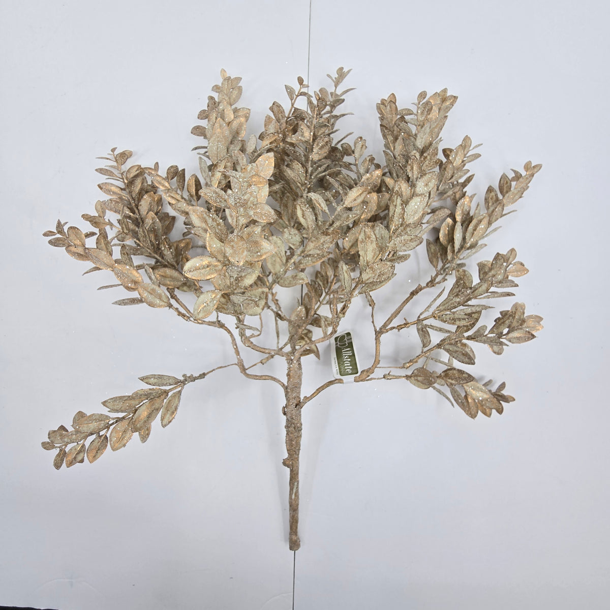 17&quot; Gltr Mini Boxwood--#xas149