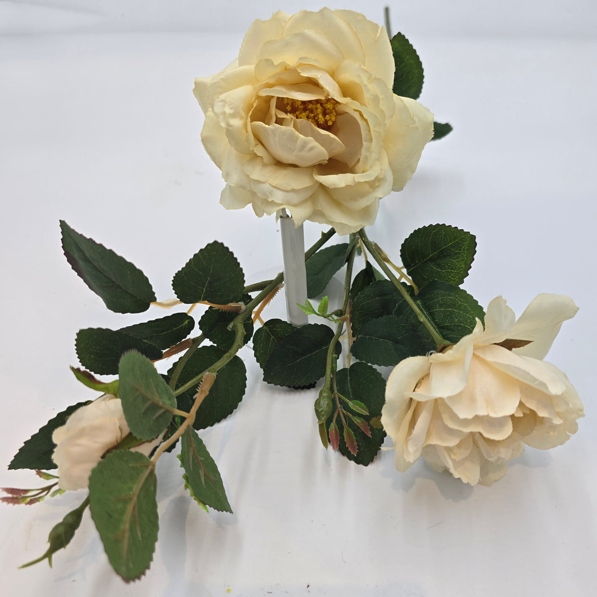 28&quot;ROSE--fsr522